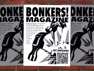Bonkers! Magazine Flyer
