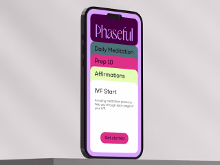 Brand Identity Phaseful 