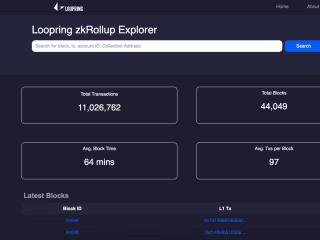 Loopring Explorer