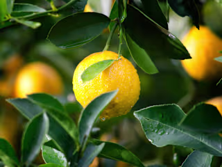 Eco-Friendly Beauty Product Transition: A Guide to Sustainable …