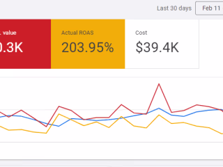 Google Shopping Ads For Health D2C Brand