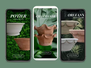 Botanical Collections: Digital