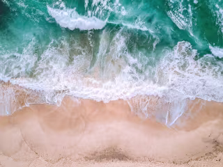 Article Sea