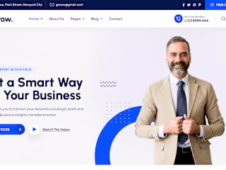 Professional website - Simple wordpress website