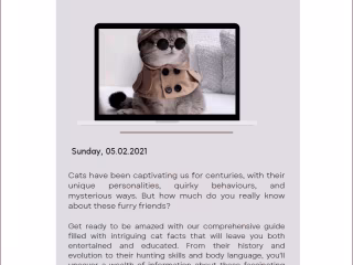 Blog post about cat