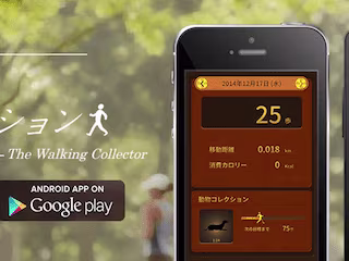 The Walking Collector