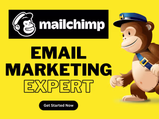 I will drive your business with MailChimp email marketing expert