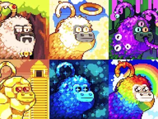Golden Tamarins Collection