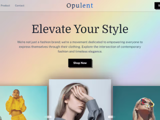 Opulent Fashion Designing Landing Page 