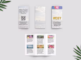 Brochure Examples