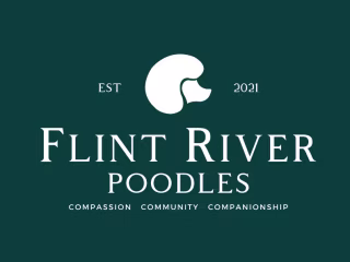Brand Design + Strategy for Flint River Poodles