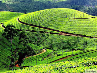 Coimbatore to Ooty Cab