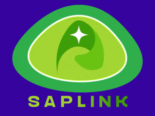 Saplink : Logo and Promotional Poster :: Behance