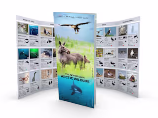 Arctic Wildlife pocket guide