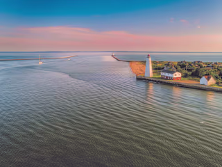 Harbor Psychiatry