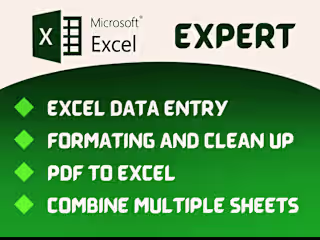 Excel Cleaning and formating 