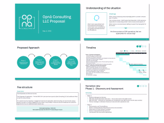 Consulting Proposal
