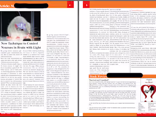  Designing college or school journal/newsletter (10=100 pages) 