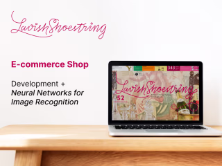 Ecommerce Website Development