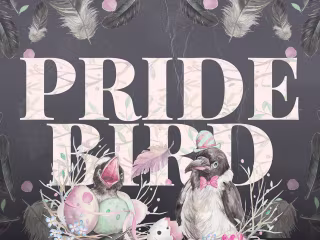 Pride Bird - visual design and brand identity on Behance