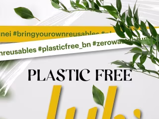 Plastic Free July