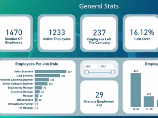 HR Data Analysis Project