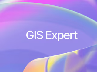 GIS Expert