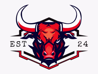 Professional Logo Design