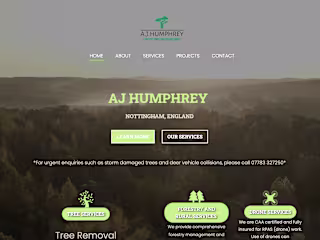 Professional Promotional Website