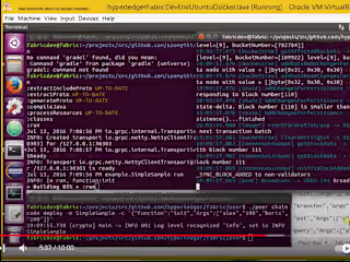 Java Chaincode(smart contarcts) dev. env for Hyperledger Fabric 