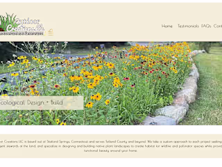 Website Design for Local Landscaping Company