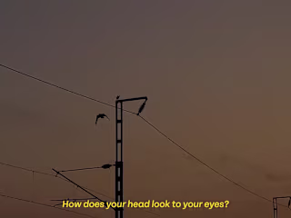 Captivating Visual Production