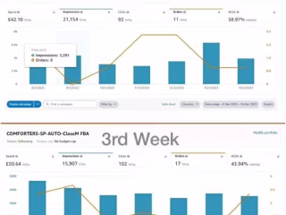 AMAZON PPC CAMPAIGN