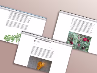 Writer: Medium.com Platform 