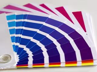 Everything You Should Know Before Choosing A Color Pallete For …