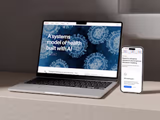 System- Website Design and Webflow Development
