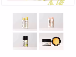 Branding for Ivka Forest