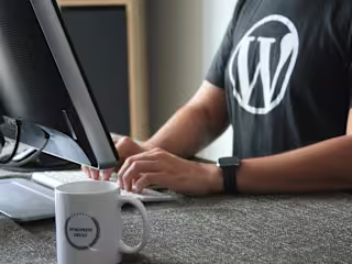 WordPress Plugin and Custom Development