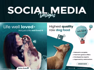 Social Media V2