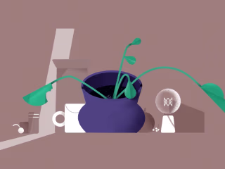 Seed&Stem