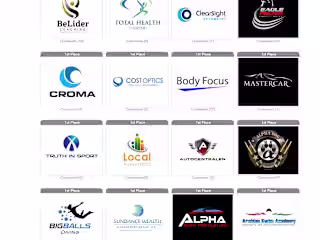 Expert Logo Designer