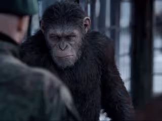 War for the Planet of the Apes