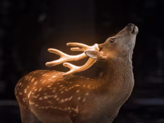 Glowing Effect