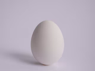 eEgg shop