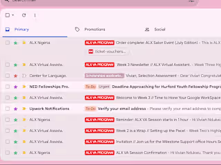 Gmail Organization 