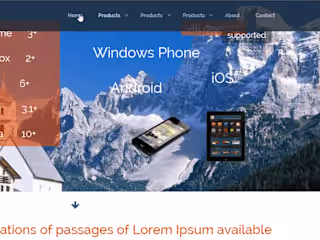 Side web design project