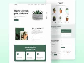 E-Commerce Website's 