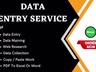 I will do data entry, excel, typing, web research and copy paste