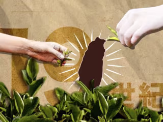 Advertisement Animation | Taiwanese Tea Story