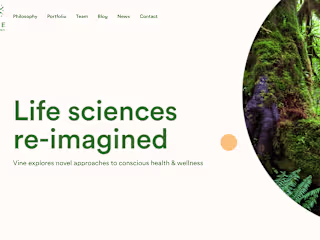 Vine Ventures Website Devleopment